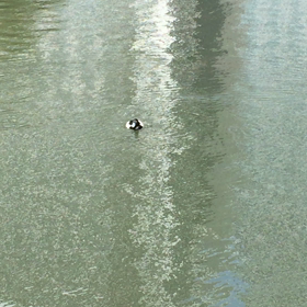 うららかな春⭐︎の画像