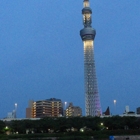 屋形船からの動画の画像