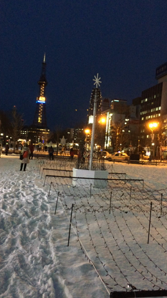 ホワイトイルミネーションの記事動画