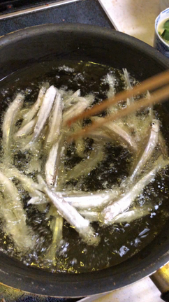 またまたワカサギ釣りin入鹿池の記事動画