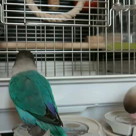 やっぱりイラッとする(動画)の画像