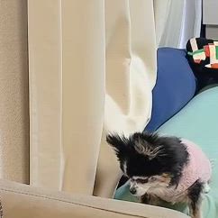 【冬の必需品】ロージーローザの肉厚パフ＆しまむら裏起毛スカートコーデの記事動画