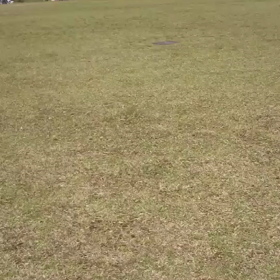 お花見　その２の画像