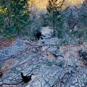 正丸峠から伊豆ケ岳の山歩きの画像