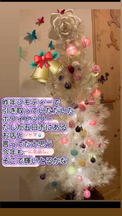 ホワイトツリーの記事動画