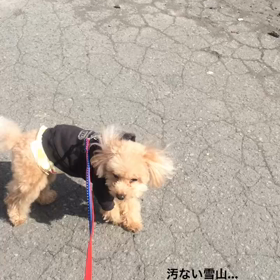 お彼岸なのでの画像
