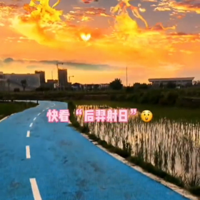 不思議な空—羿日射の画像