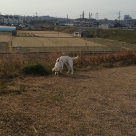 お初！の画像