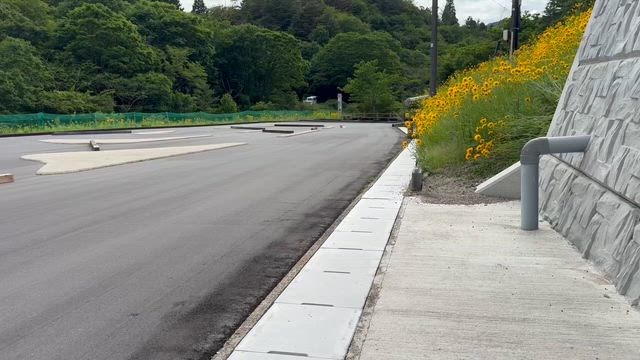 3年振りなエンジンカー‼️の記事動画