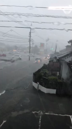 今日は大雨？の記事動画