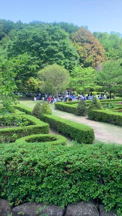 ぼたん園コンサート（道に迷いに迷う）の記事動画