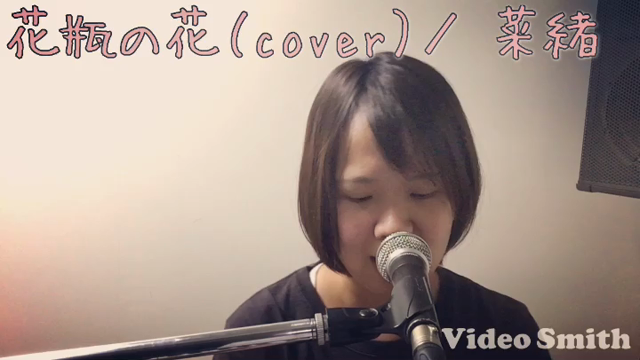 ライブ告知☆の記事動画