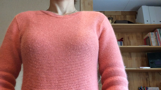 動画じゃないと わからない…の記事動画