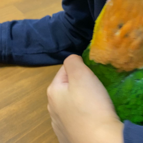 ボタンをカミカミの画像