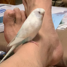 最近のお気に入り場所の画像
