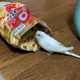 かっぱえびせん独り占めの画像