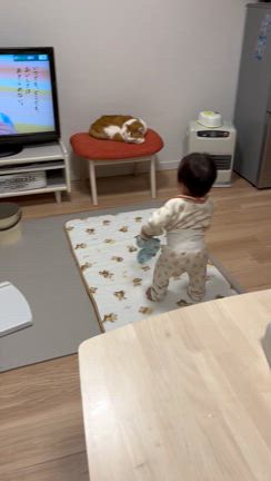 元カレと、防衛策。の記事動画
