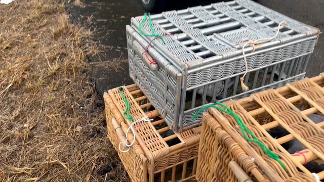 6回目の訓練に行きました〜の記事動画