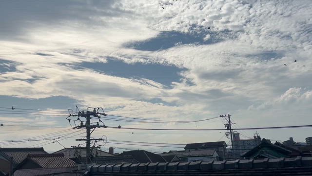 ご無沙汰しておりますの記事動画