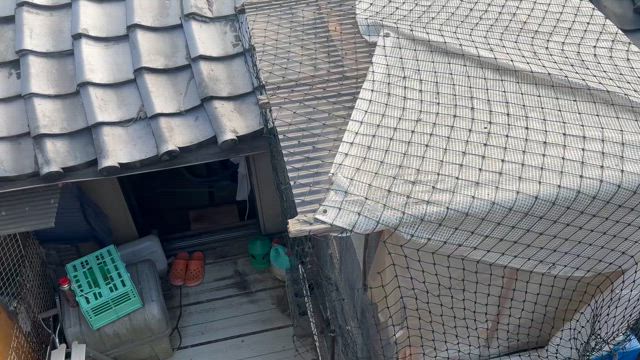 ご無沙汰しておりますの記事動画