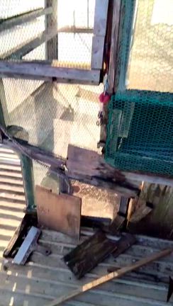 今年初の訓練に行きました⭕️の記事動画