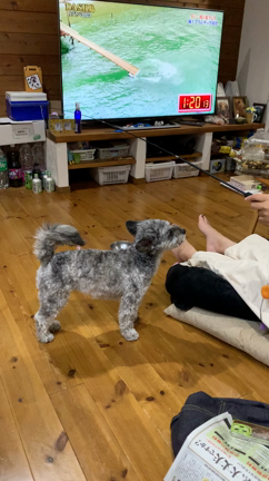 多肉に水やり。大相撲がはじまった！の記事動画