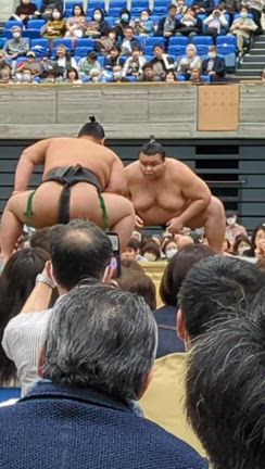 桜と蚤の市とスタバと富山場所。の記事動画