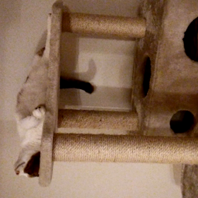 １分ぴの動画の画像