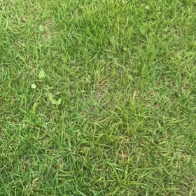 単位認定試験提出完了！の画像