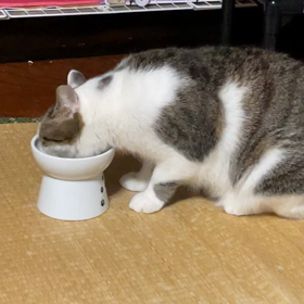 鳴いてくれました‼️の画像