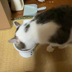 どうして？の画像