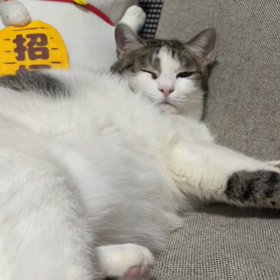 今日は休みだった(￣◇￣;)ガーンの画像