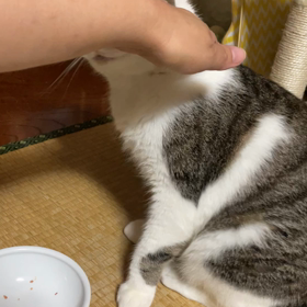 ごはん食べてないときに　‼️の画像