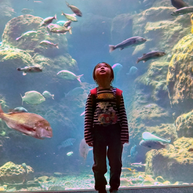 新江ノ島水族館の画像