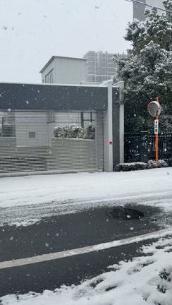 イエニハッピーバースデー❣️本日は大雪❗️の記事動画