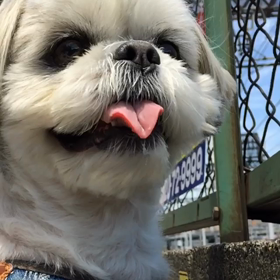 鼻汁ブシャー！の画像
