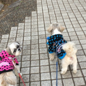 今日はおソロ〜〜(*^o^*)の画像