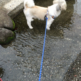 もう雨はイヤだよ〜！の画像
