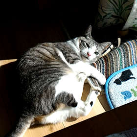 今日は母の･･･の画像