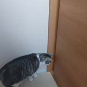 抗がん剤変更の画像