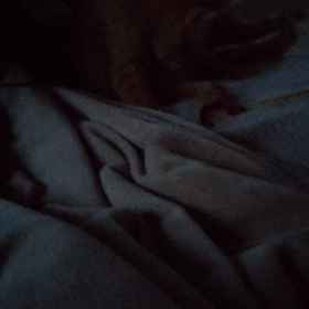 母の運転手の画像