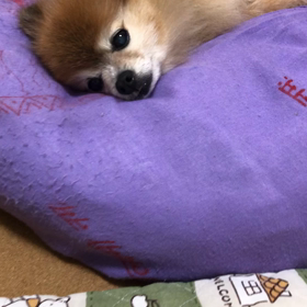 久しぶりのブログの画像