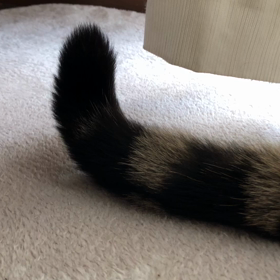 すきの画像