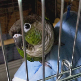 あくびとトイレ！の画像