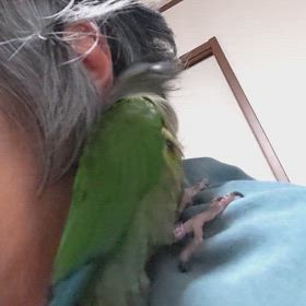 耳そうじ？！の画像