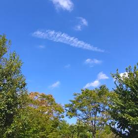 2019/10/28の画像