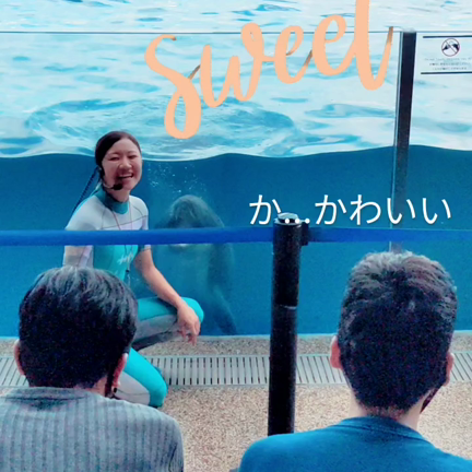 【ルポ】京都水族館！の記事動画