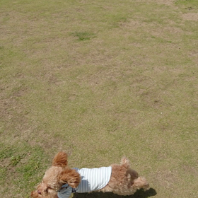 成長してるなぁ〜の画像