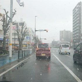 ゆき！の画像