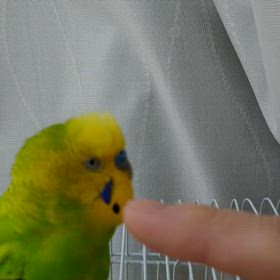 大好きなにおいの画像